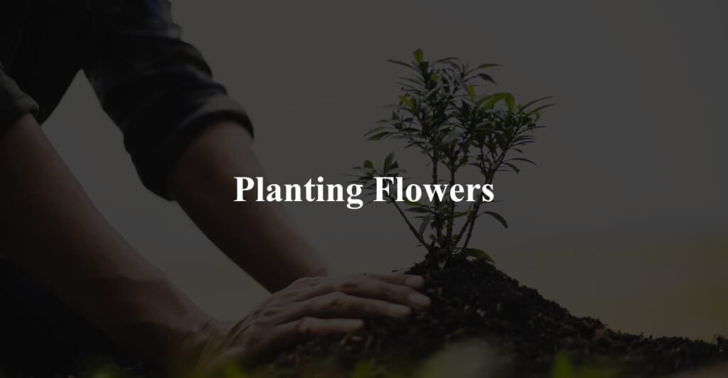 Planting Flowers