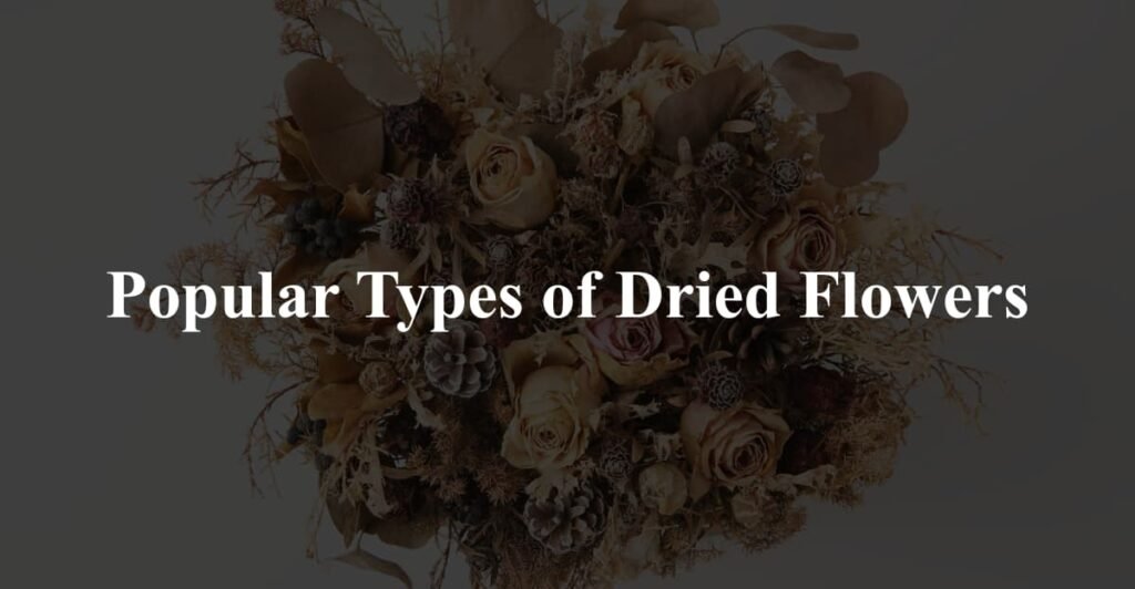 Popular Types of Dried Flowers