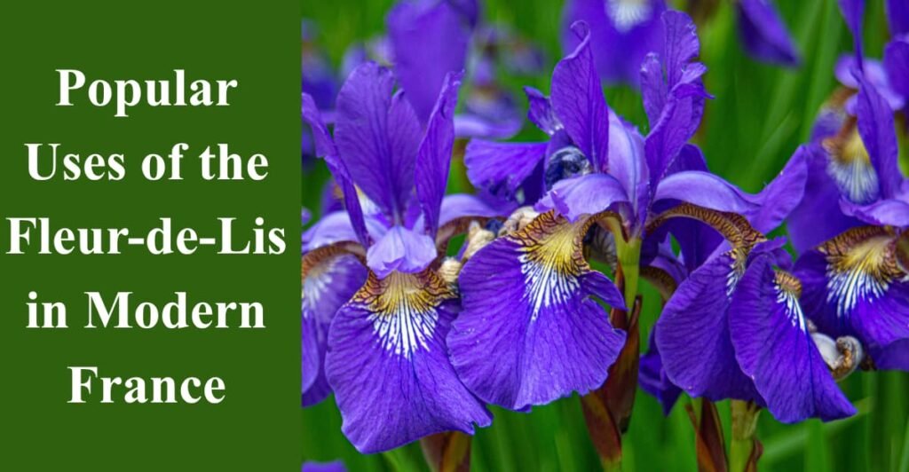 Popular Uses of the Fleur-de-Lis in Modern France