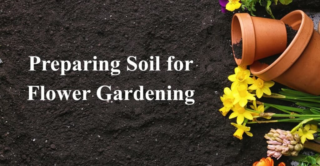 Preparing Soil for Flower Gardening