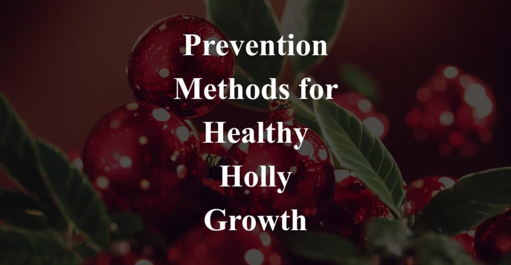 Prevention Methods for Healthy Holly Growth