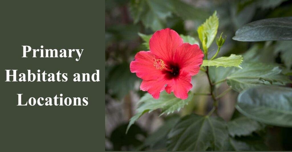 Primary Habitats and Locations