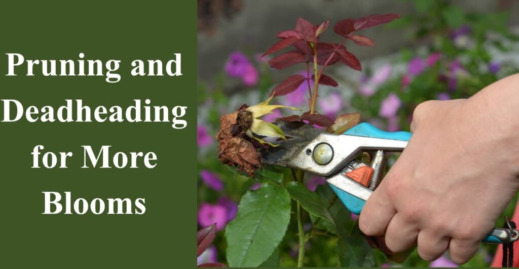 Pruning and Deadheading for More Blooms