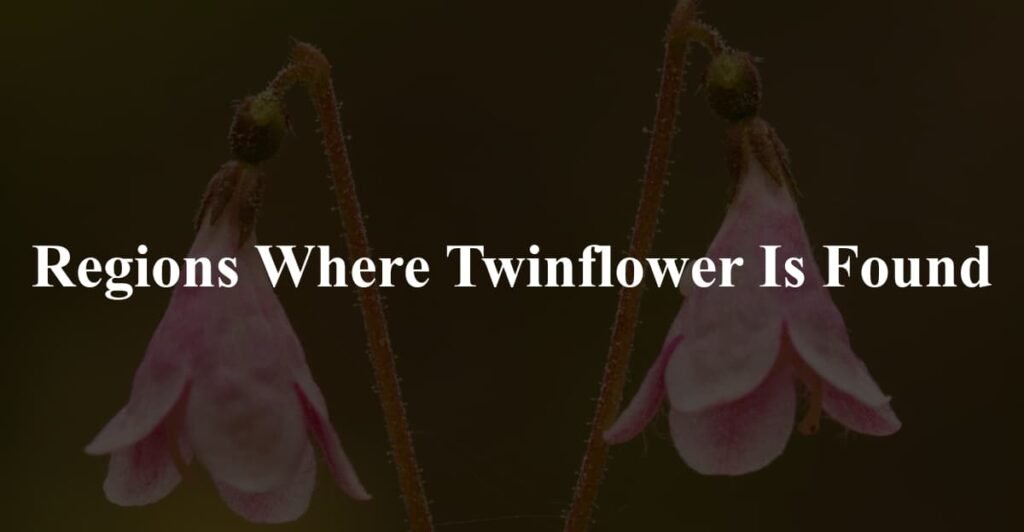 Regions Where Twinflower Is Found
