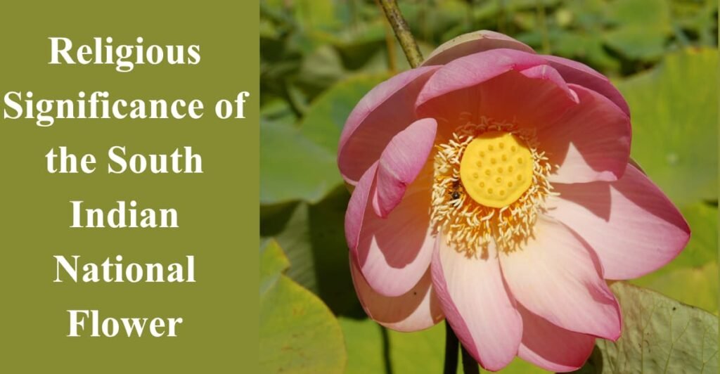 Religious Significance of the South Indian National Flower