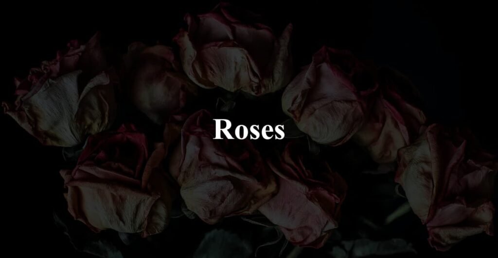 Roses
