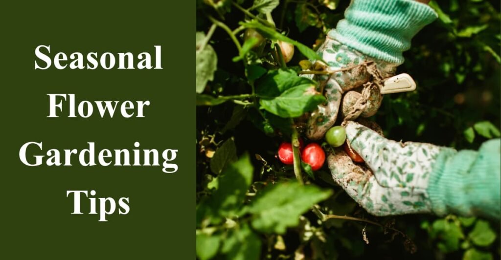 Seasonal Flower Gardening Tips