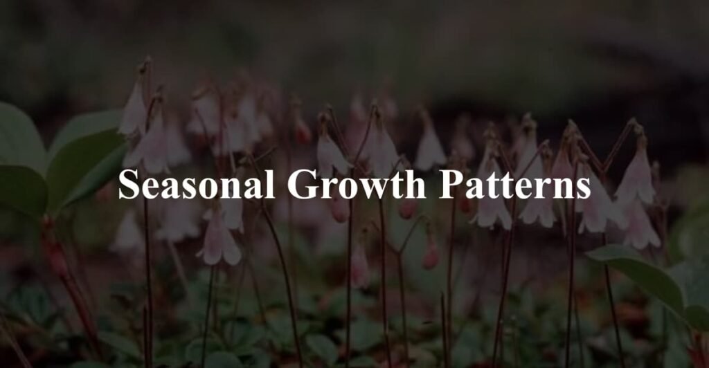 Seasonal Growth Patterns