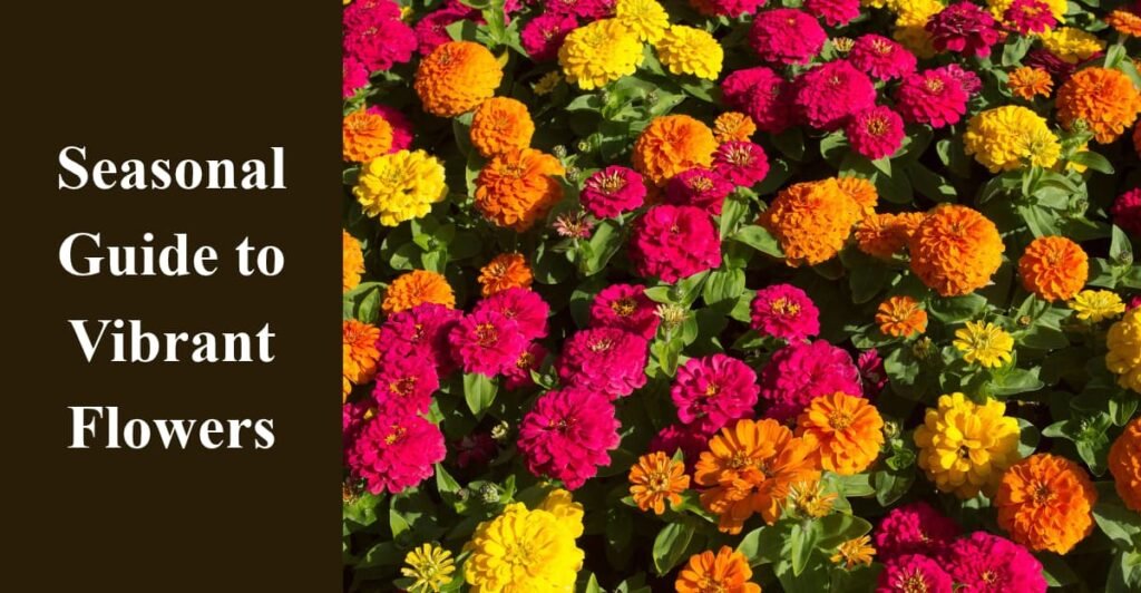 Seasonal Guide to Vibrant Flowers