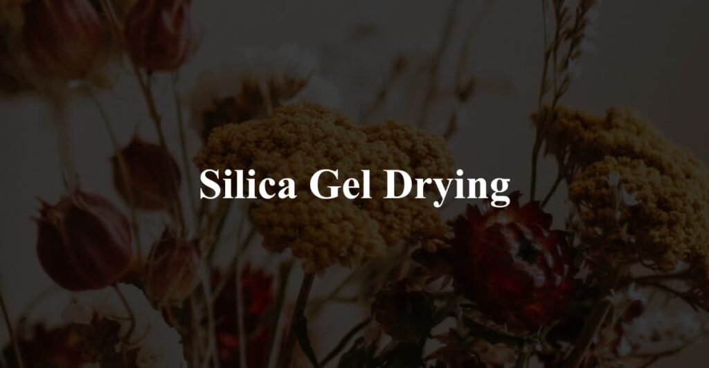 Silica Gel Drying