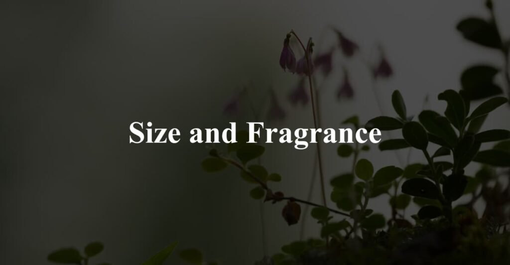Size and Fragrance