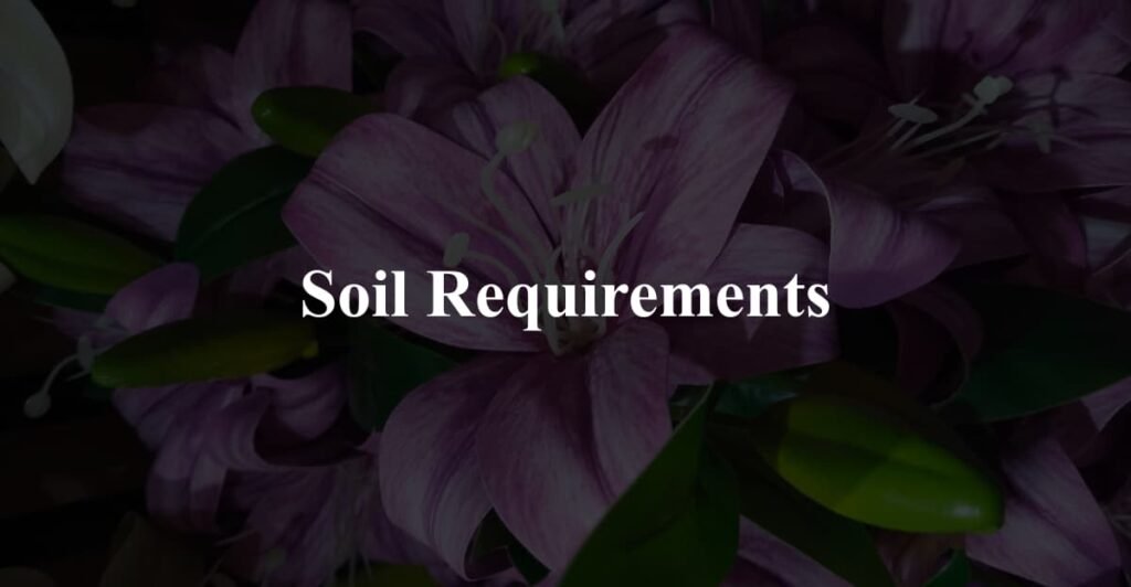 Soil Requirements