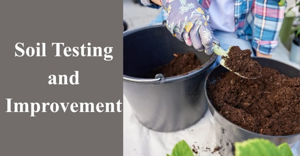Soil Testing and Improvement