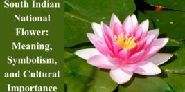 South Indian National Flower: Meaning, Symbolism, and Cultural Importance