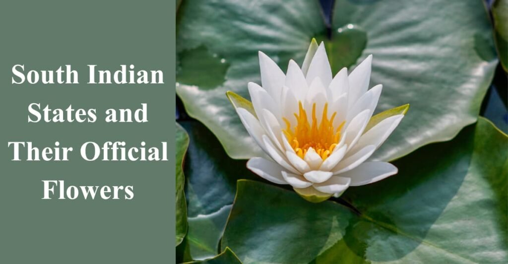 South Indian States and Their Official Flowers