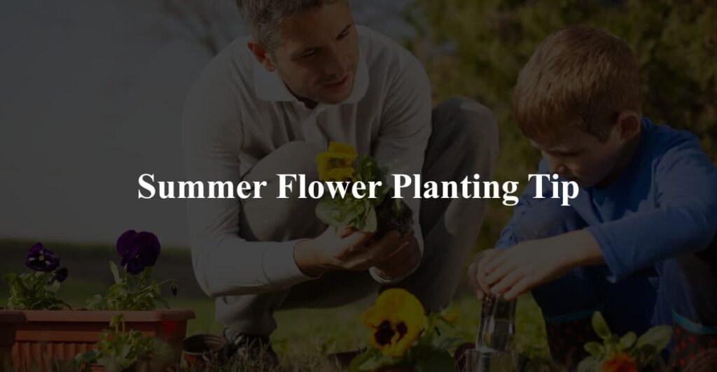 Summer Flower Planting Tip