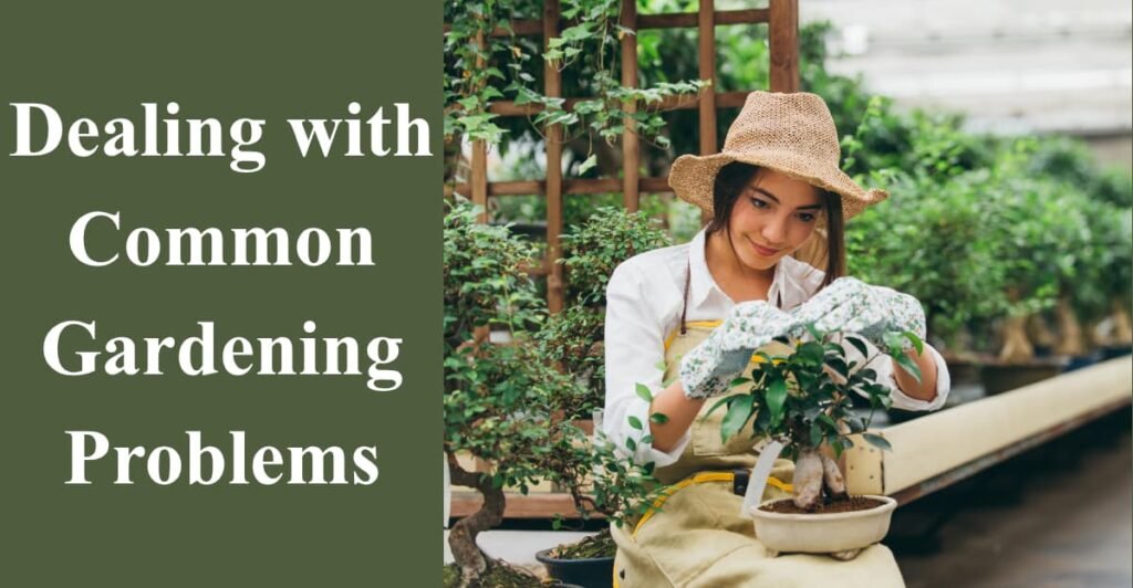 Dealing with Common Gardening Problems