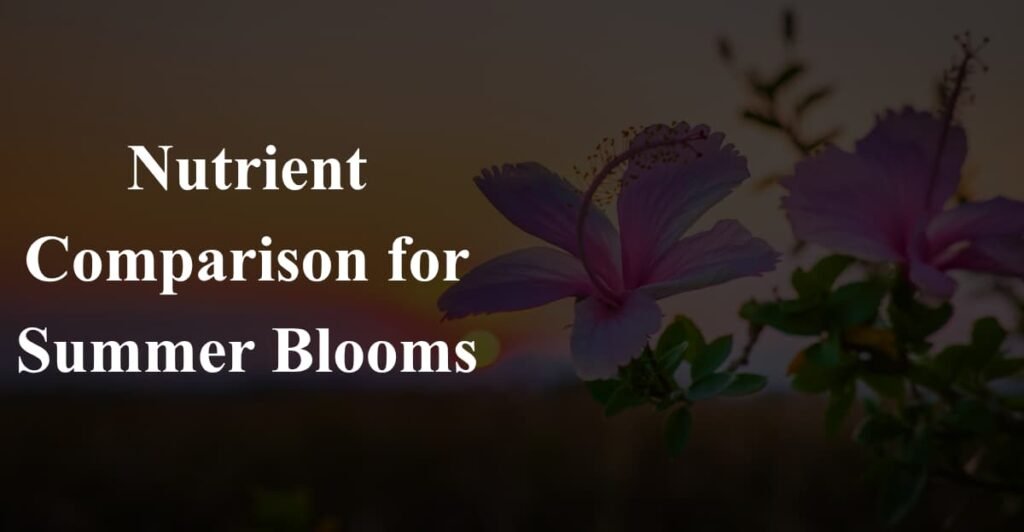 Nutrient Comparison for Summer Blooms