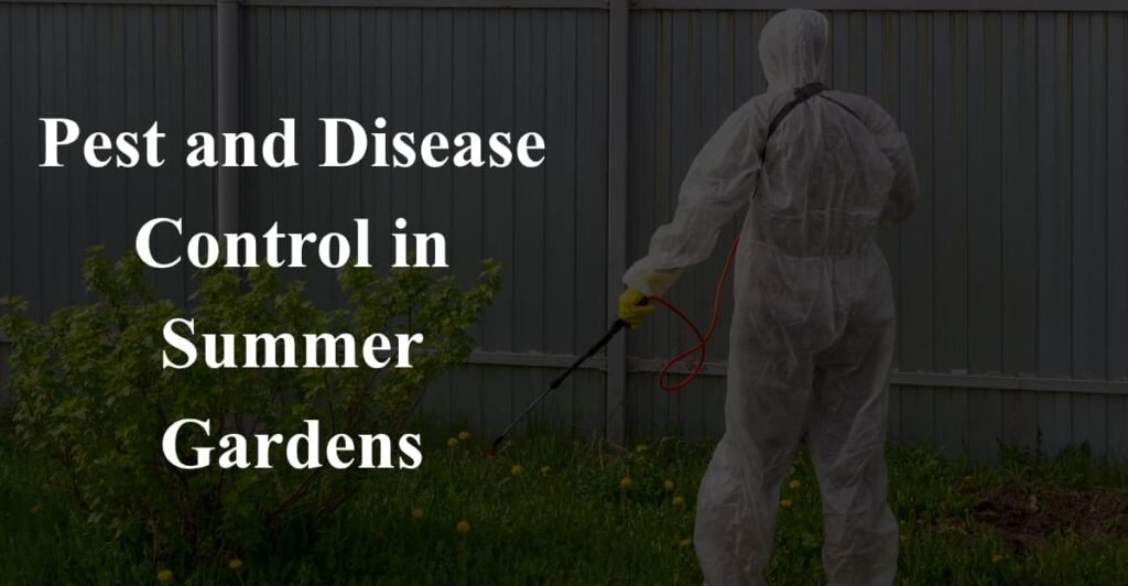 Pest and Disease Control in Summer Gardens