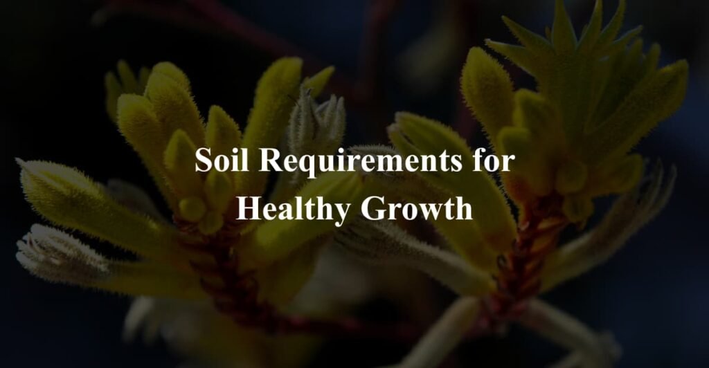 Soil Requirements for Healthy Growth