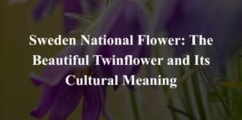 Sweden National Flower: The Beautiful Twinflower and Its Cultural Meaning
