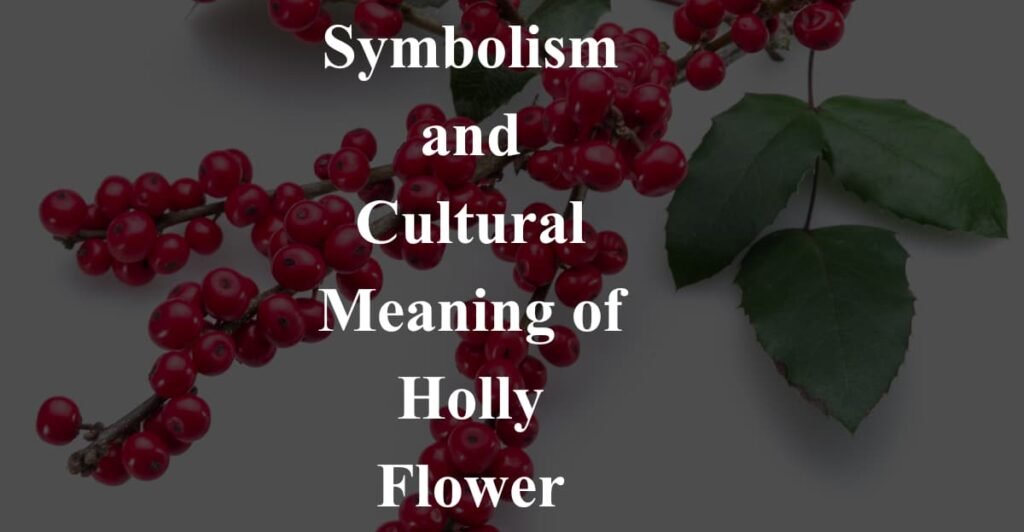 Symbolism and Cultural Meaning of Holly Flower