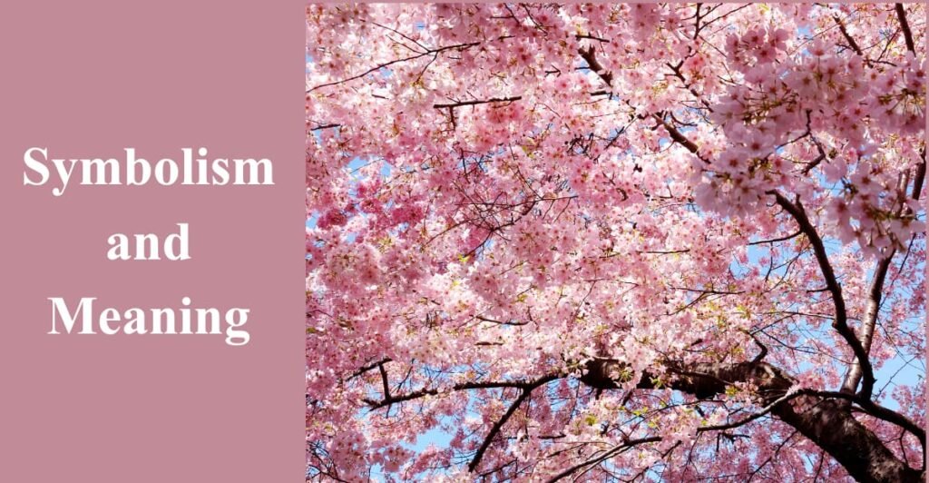 Symbolism and Meaning