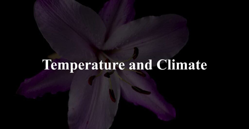 Temperature and Climate