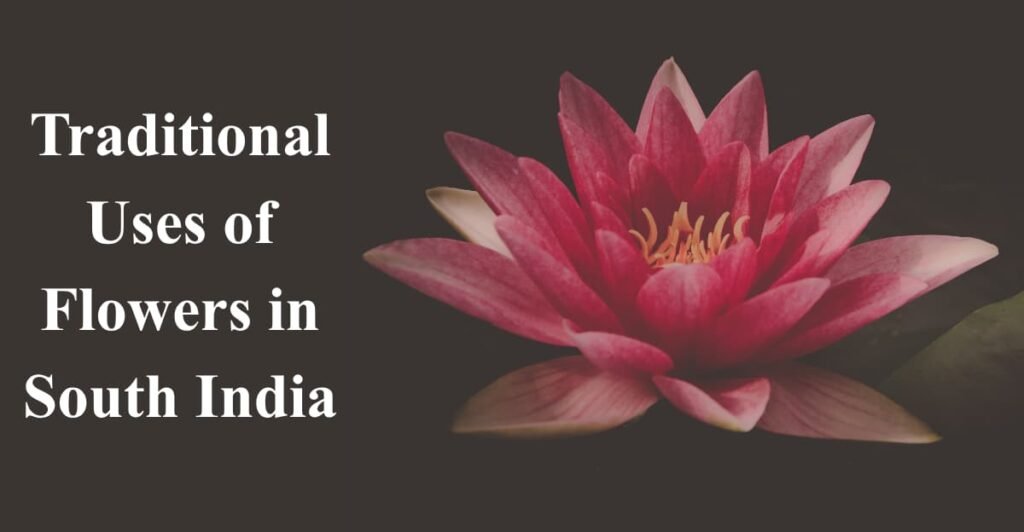 Traditional Uses of Flowers in South India