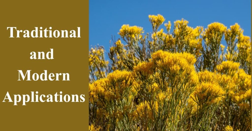 Traditional and 
Modern Applications