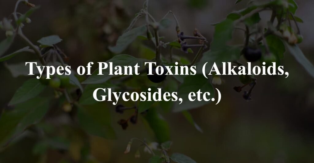 Types of Plant Toxins (Alkaloids, Glycosides, etc.)