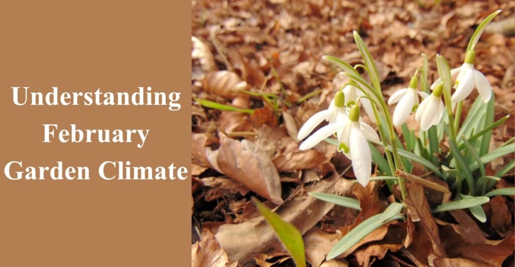Understanding February Garden Climate