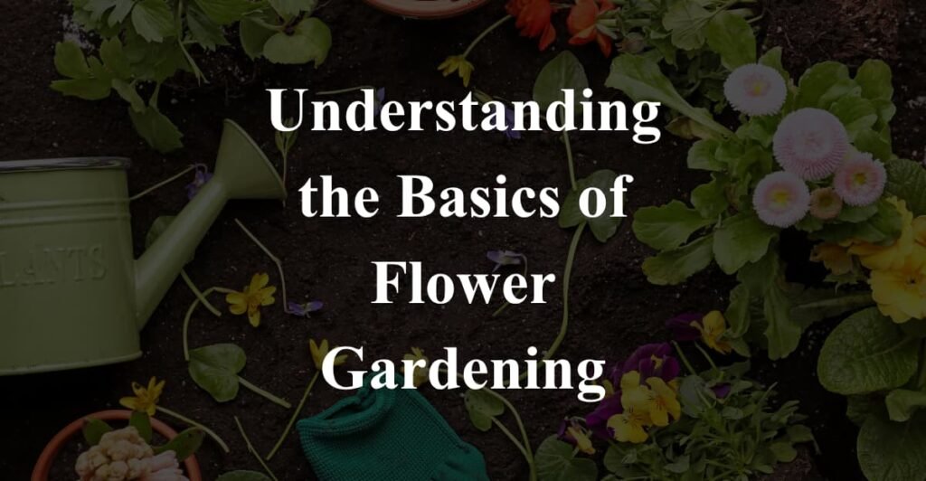Understanding the Basics of Flower Gardening