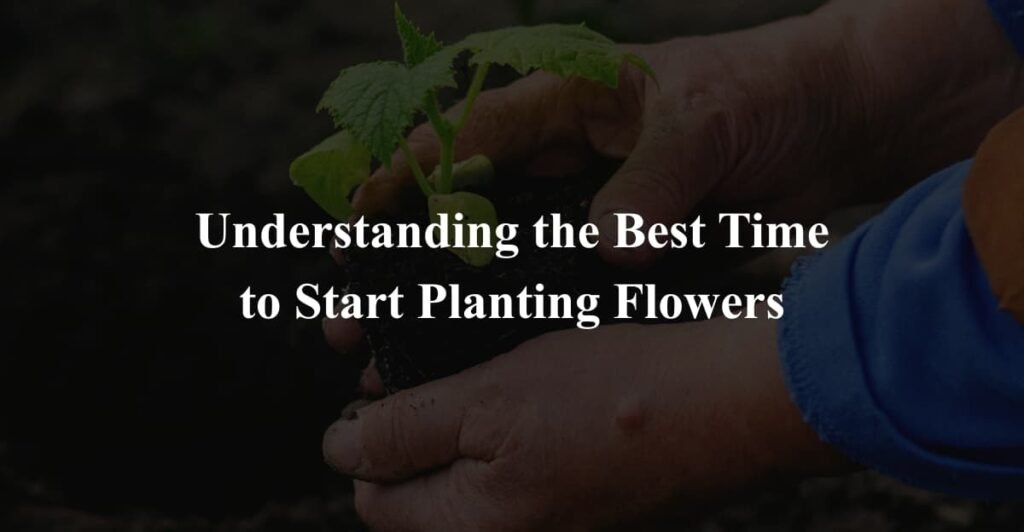 Understanding the Best Time to Start Planting Flowers