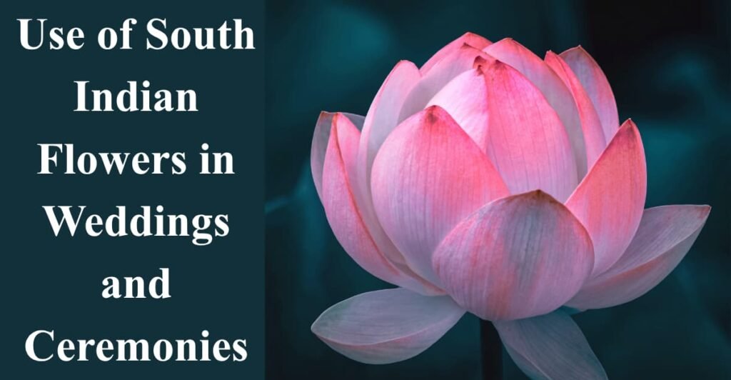 Use of South Indian Flowers in Weddings and Ceremonies