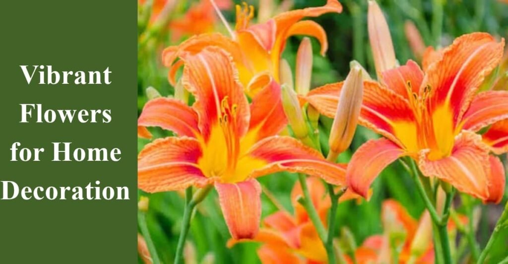 Vibrant Flowers for Home Decoration