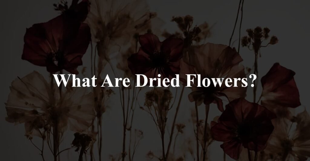 What Are Dried Flowers?