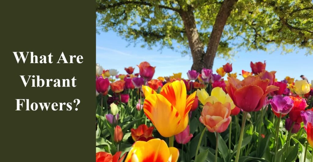 What Are Vibrant Flowers?