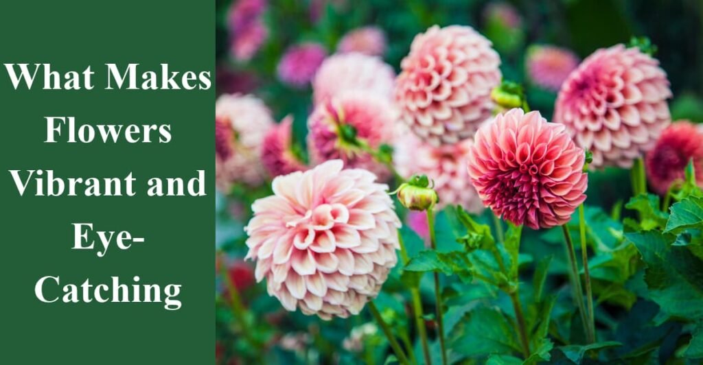 What Makes Flowers Vibrant and Eye-Catching