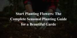 Start Planting Flowers: The Complete Seasonal Planting Guide for a Beautiful Garden