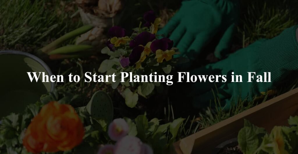 When to Start Planting Flowers in Fall