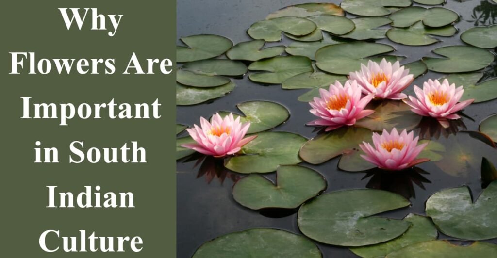 Why Flowers Are Important in South Indian Culture