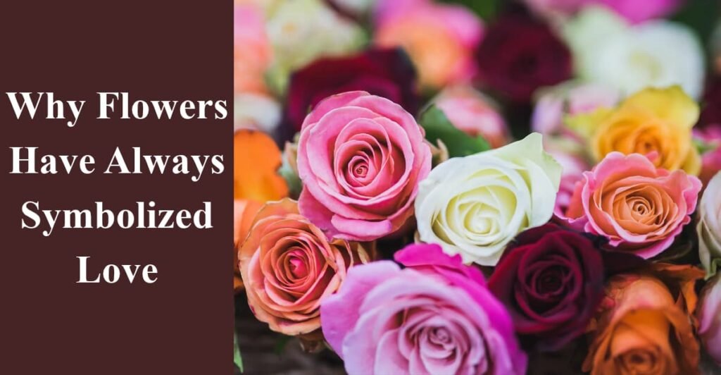 Why Flowers Have Always Symbolized Love