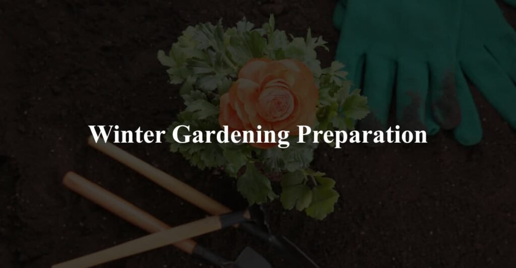 Winter Gardening Preparation