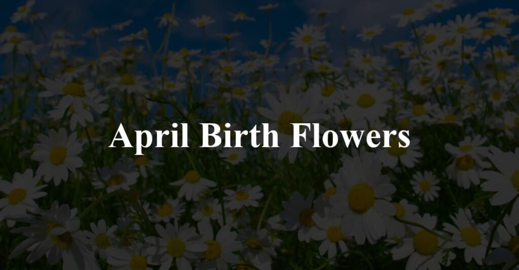 April Birth Flowers