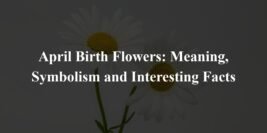April Birth Flowers: Meaning, Symbolism and Interesting Facts