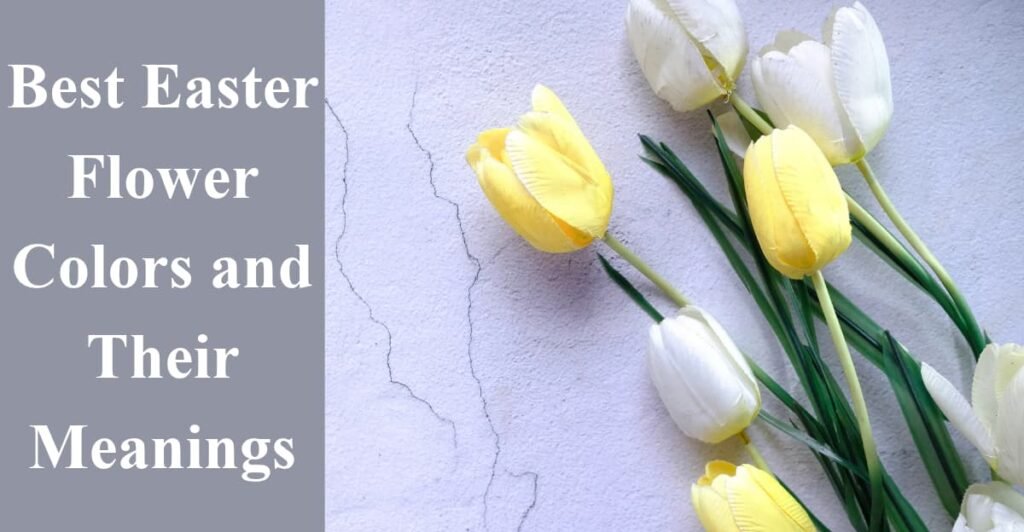 Best Easter Flower Colors and Their Meanings