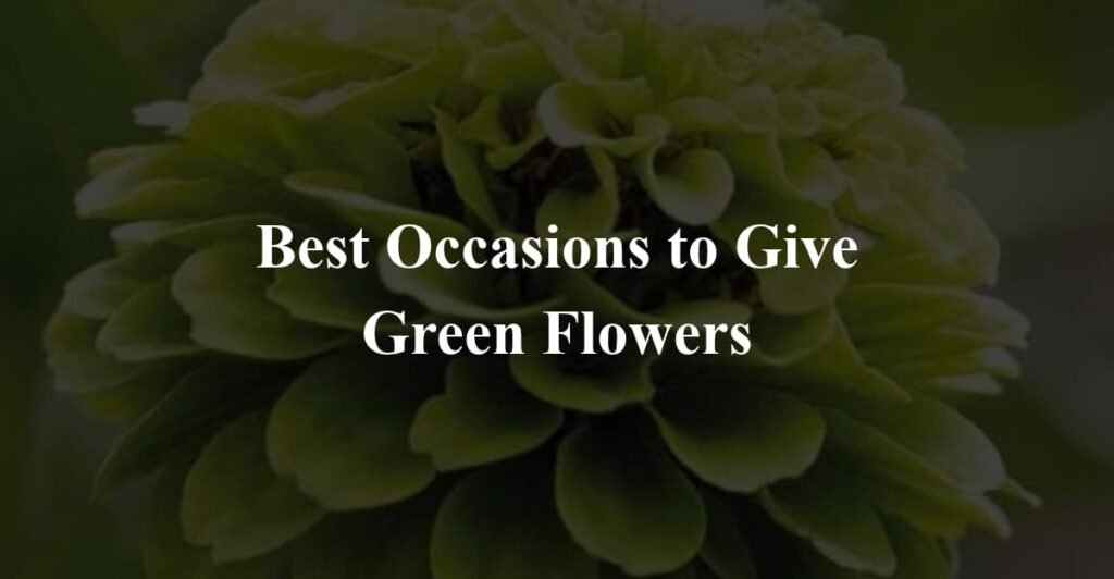Best Occasions to Give Green Flowers