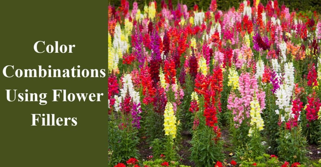 Color Combinations Using Flower Fillers