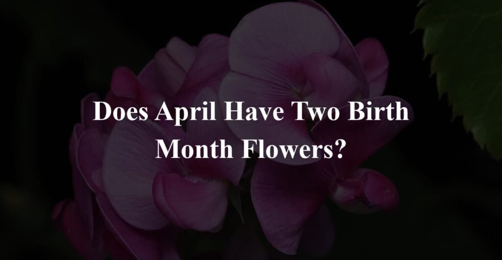 Does April Have Two Birth Month Flowers?